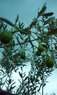 20110821102443.jpg