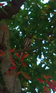 20130613081848.jpg