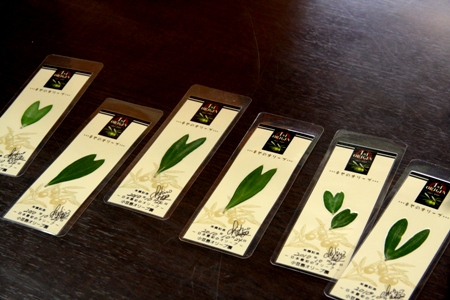201010245.jpg