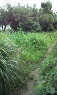 20110802094341.jpg
