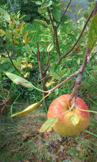 20110802094602.jpg