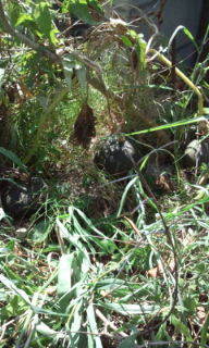 20110813144642.jpg