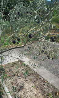 20111018151408.jpg