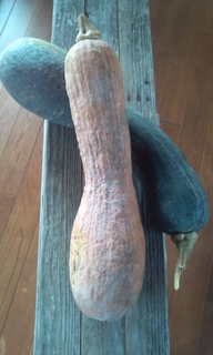20111112100102.jpg